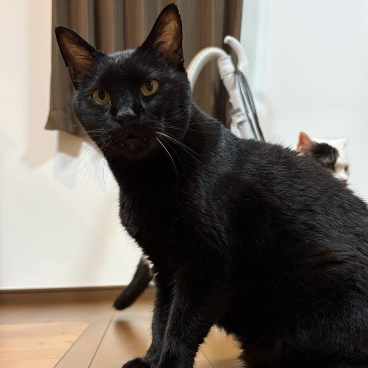 C56b7a63 428a 492c b273 a6318f312044 1760782155882