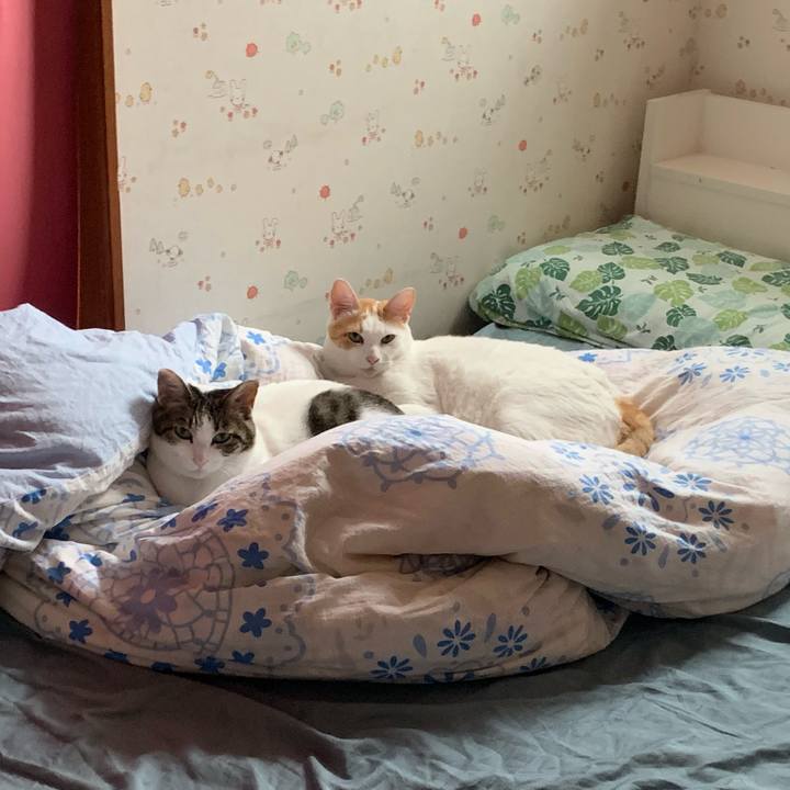 C56bbda9 72af 49db 9a0b 6ef977164325 1563700811134