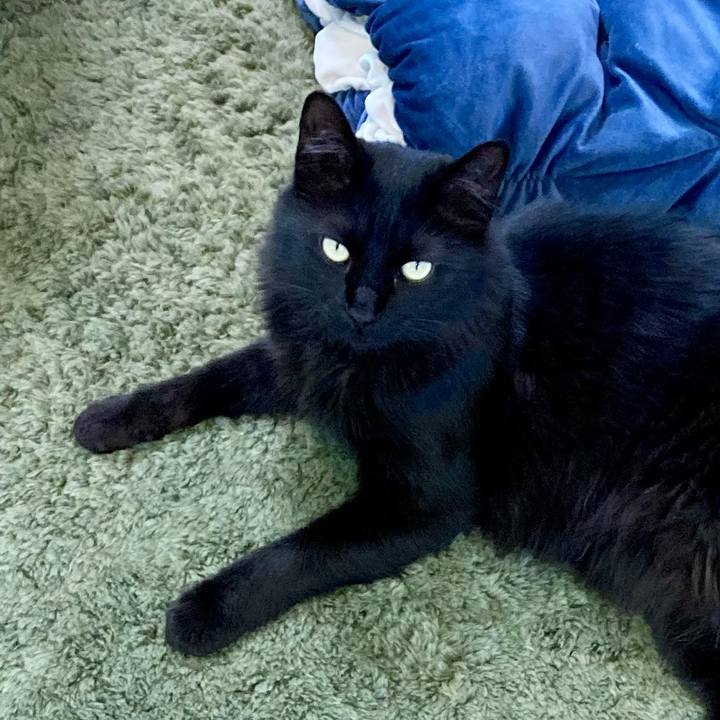 C56bdbd4 9f08 4c97 8adc 7448fb618ebc 1749420815765