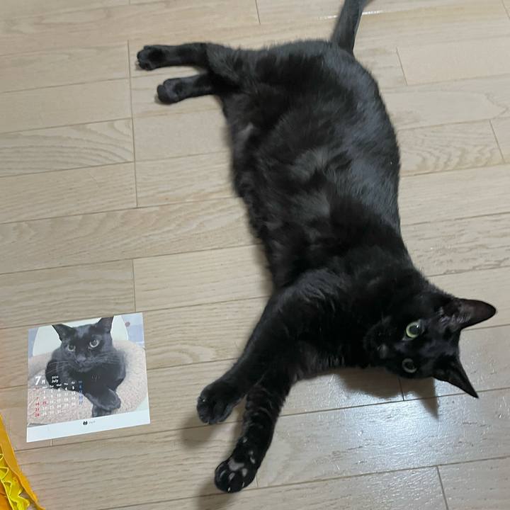 C56bf8a0 52a4 48ae 9cbe a0029a2bf7a4 1722419157514