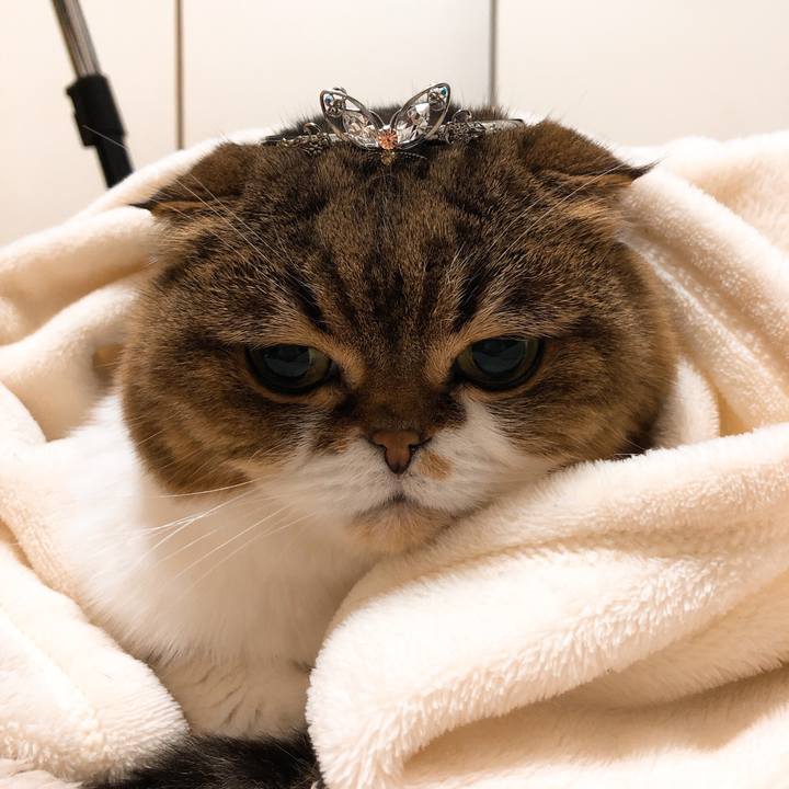 C56c035e 2624 49ab ad9e acd0331396d1 1551537188211