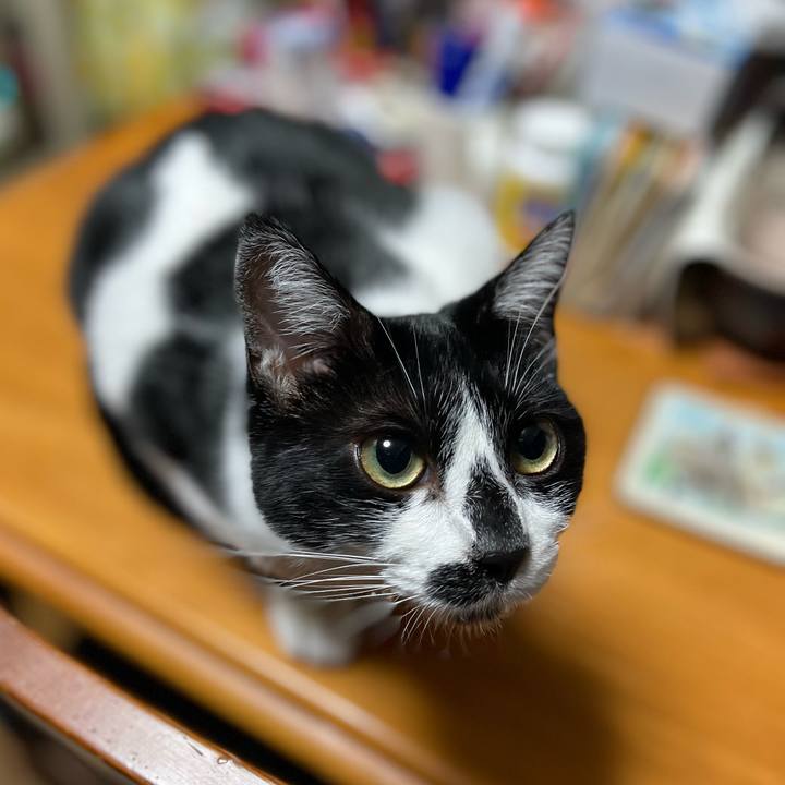 C56c3192 49a0 4dc9 bd64 98dfc5c25a74 1764024694867