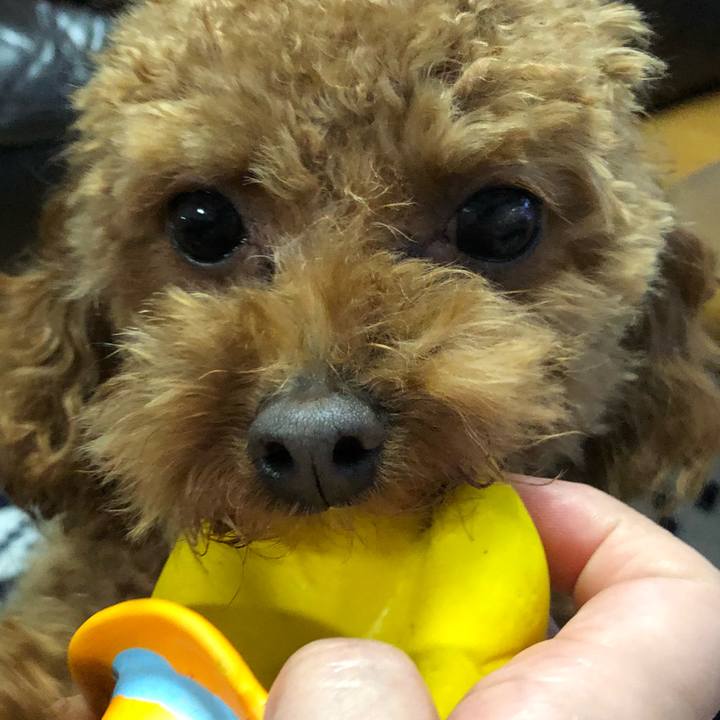 C56c3fdc 6a0c 4a2b 8334 014df59ec821 1519683514631