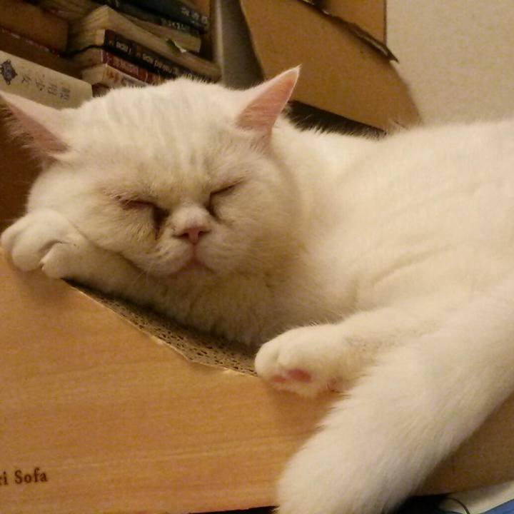 C56c5684 4d06 412f b330 0306cf1d9f31 1543617822806