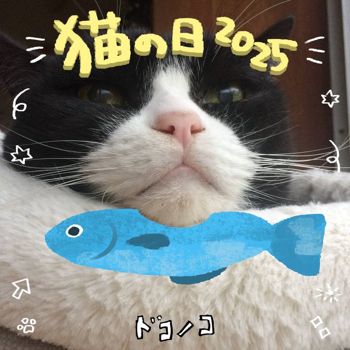 C56c64d7 3232 43dc 9539 d3e16b1ddf26 1740202379829