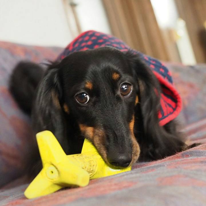 C56c6599 45fd 435d 9005 c5ffaa800252 1510793957520