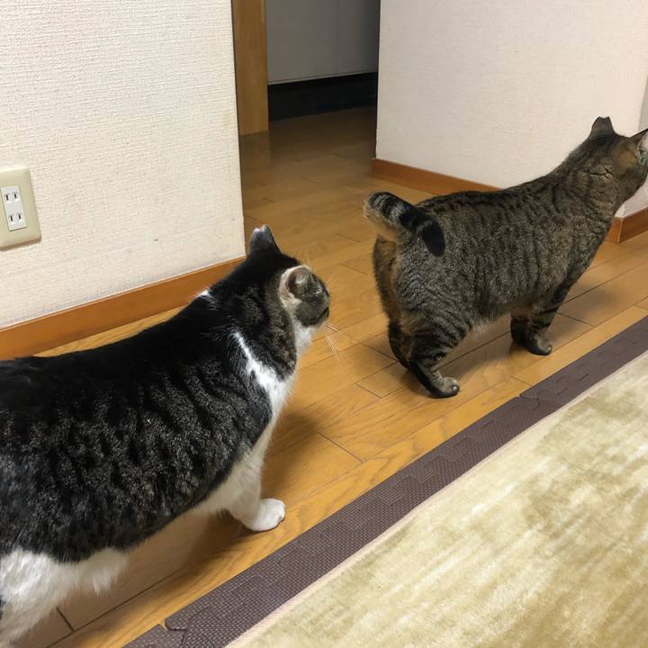 C56c747d 8c99 48cd ad16 8ef3b9cd8249 1551792101135