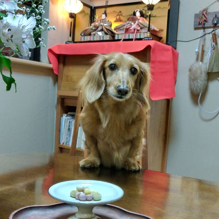 C56c8bf9 efa7 48d1 8f4a f7ebe2bdb91f 1709477228740