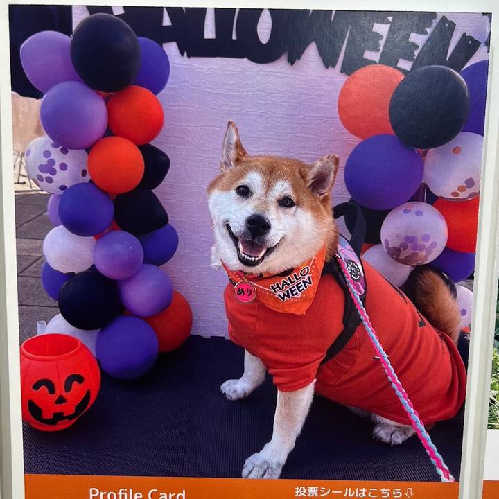 C56c9658 ad31 40e3 8c70 8ccc9658187e 1703340280226