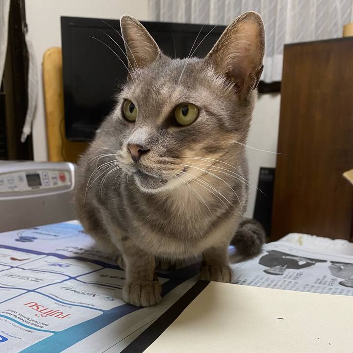 C56ca92f 540a 46eb 9a63 c8b922a24872 1602500369537