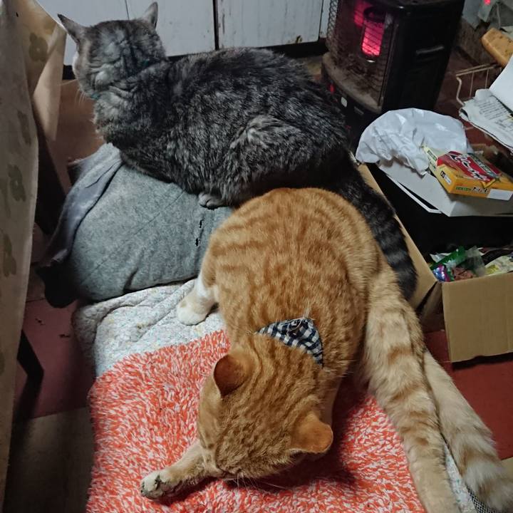 C56cda1e 3af8 43ee a679 2ddb51837617 1574467357091