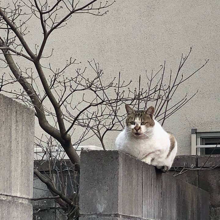 C56d09b0 0ebf 43f9 9cc9 9d3326036ceb 1580973667253