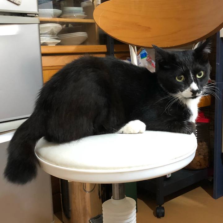 C56d2973 0750 451f b8ee 820ad06d3c59 1533786436141