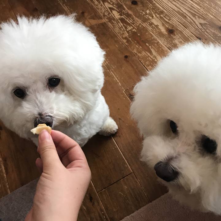 C56d45dc 93a8 4855 834b 0079e6144248 1592883832951