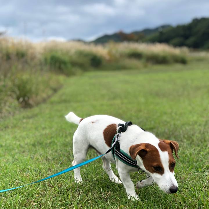 C56d5c0d 11fc 40e4 9025 ddbcaef966ae 1602492344170