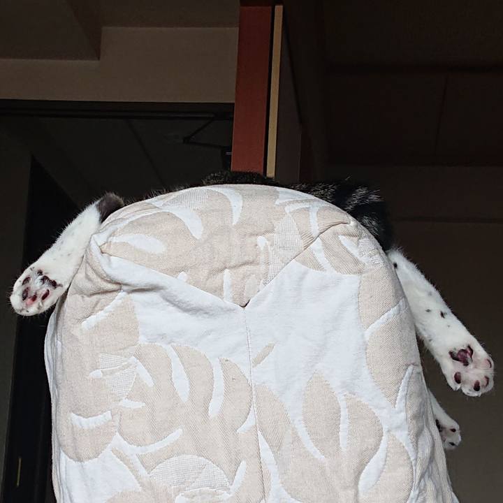 C56d63b9 94e0 47f6 b427 115a6894fedf 1628979798456