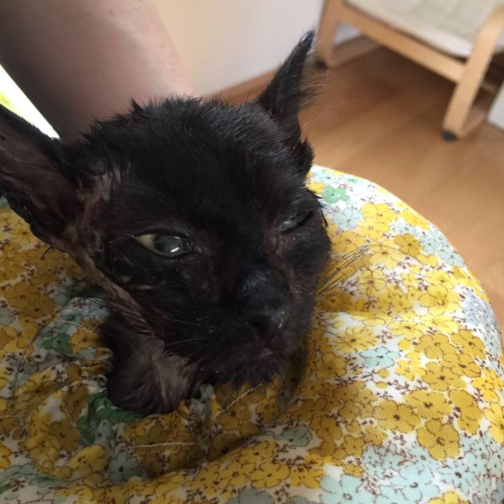 C56d6b9b 1b4e 47ab 9fd4 f0a187441cc3 1533176697797