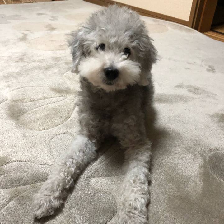 C56d6bf1 8936 44be bdc5 a77611a84362 1562714900528