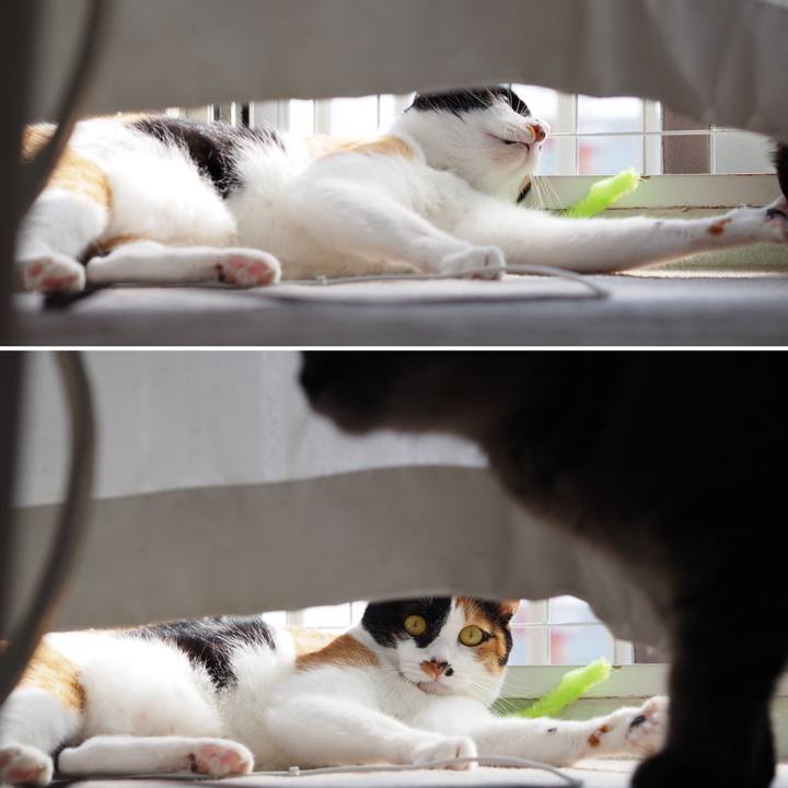 C56d76b0 188a 4dc9 b8d1 d022db9b67d9 1524493753428