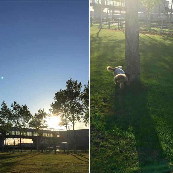 C56dd175 e524 4c39 9372 0a2a37d5ec11 1558699369746