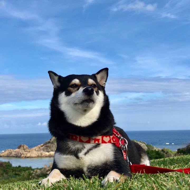 C56e1f68 fb6d 49f2 be24 032ba85bf606 1513388335071