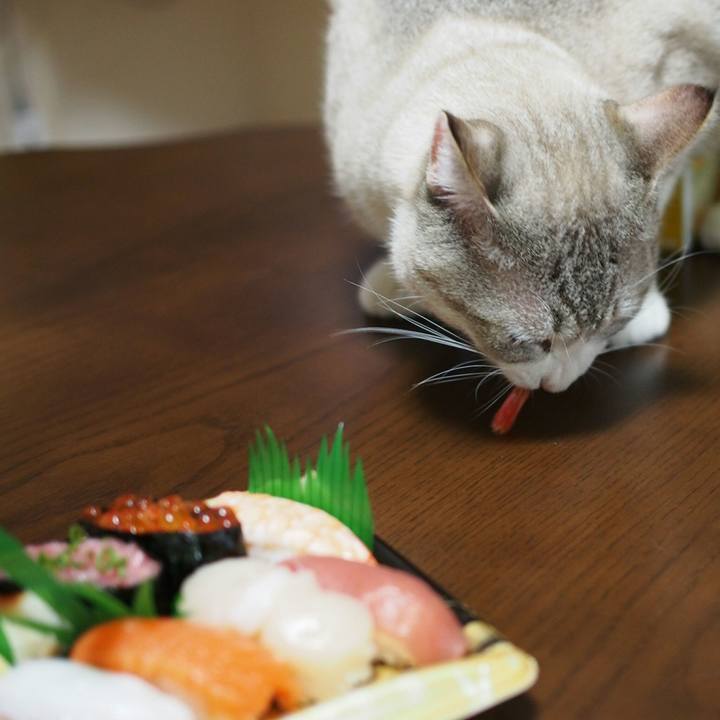 C56e5184 5d69 4160 9851 57cbde9d6dde 1532950008228