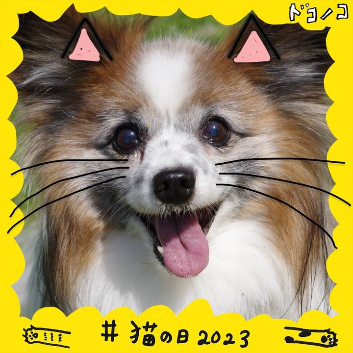 C56e62bc db68 49e2 a39f 83d0be1dbd85 1677110504834