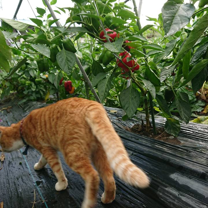 C56e69ea 528a 427d 80dc d253450db043 1566683832828