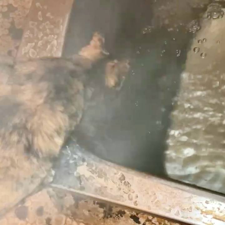 C56ea8c6 ac88 420e 8d32 a65c0f8cf54b 1739391305783