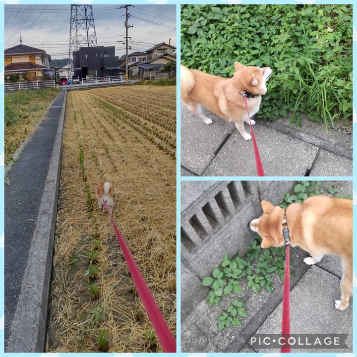 C56ef903 44e7 455e ba35 f9d5928b5537 1760567190202