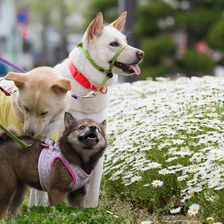 C56f5306 a939 44db b656 c580328a9902 1523617442935