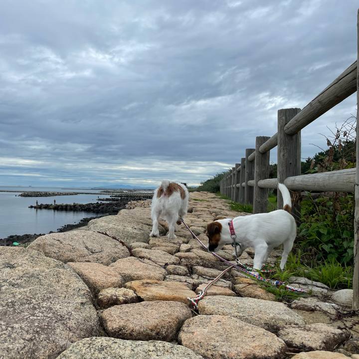 C56f57c7 ad13 4f62 ab4e 79794e63fcc0 1630798409175