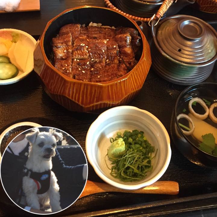 C56f6135 56d7 4a57 9370 fb74c794b158 1545903141300