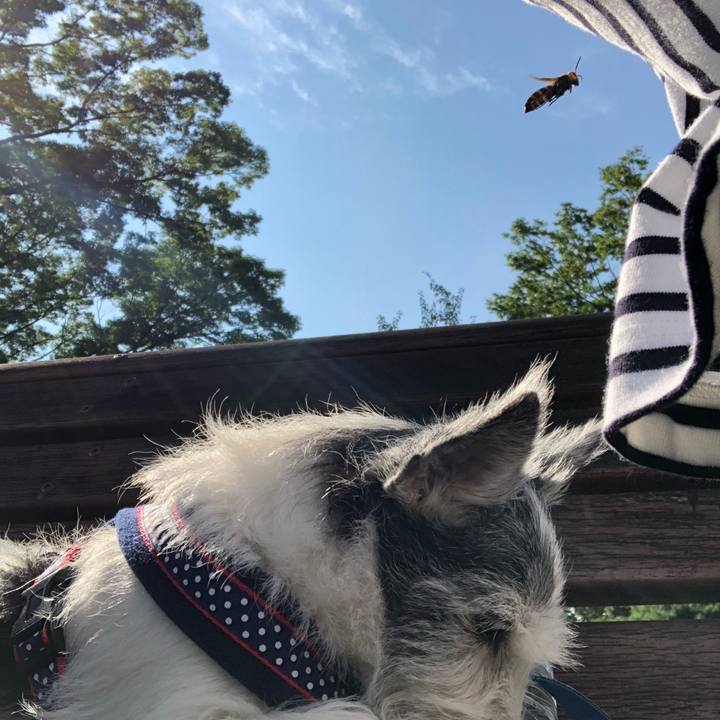 C56f83da a656 4dd0 b9a0 4f43f06d5ef6 1600691063314