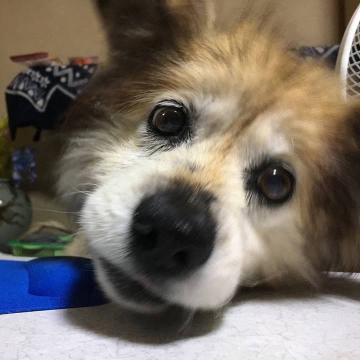 C56fd532 4323 46fa 922b bd1c439e0829 1579775736886