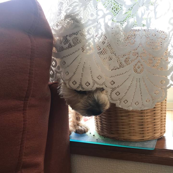 C56ff6cb 272d 4e24 8eef d7896b52c47e 1588497173500