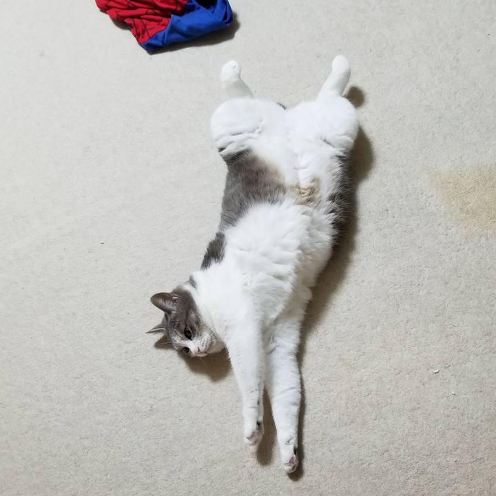 C570008d 27bc 41ba 847f 3f3ffebdd46b 1599227868828