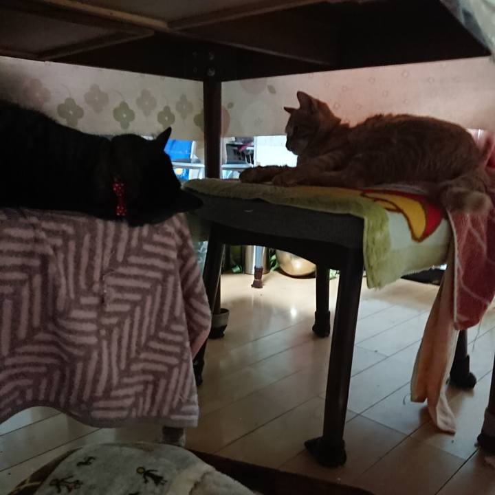 C5701fe8 dd7f 4b62 8011 cb03c3f7c029 1640917912020