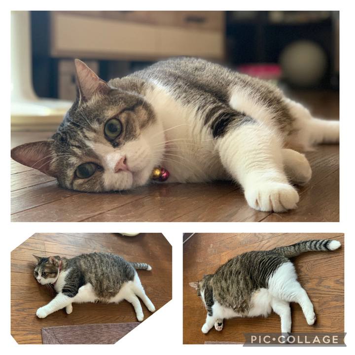 C5702035 a3e0 4cdb b134 de09bace2af8 1663118813217