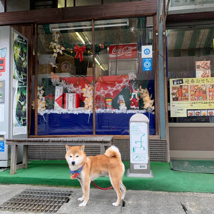 C5702065 bb9b 441a 881e 0c9b46cb461b 1576227998969