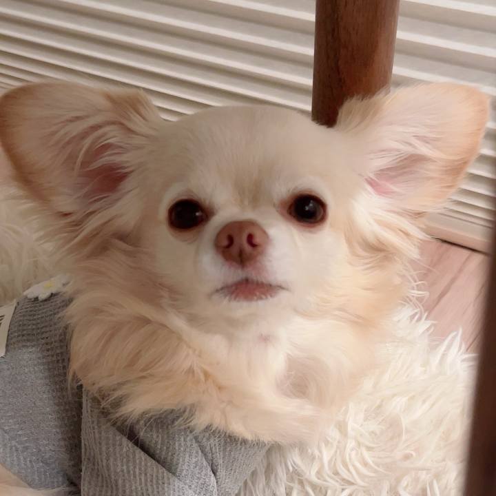 C5702f6c e1cd 416d bb3e 16bb62c603c1 1746099546044