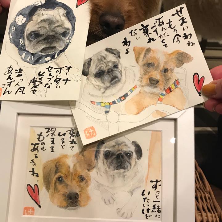 C5703dfd 04af 4fa1 b92f efbe505c087b 1543665291947