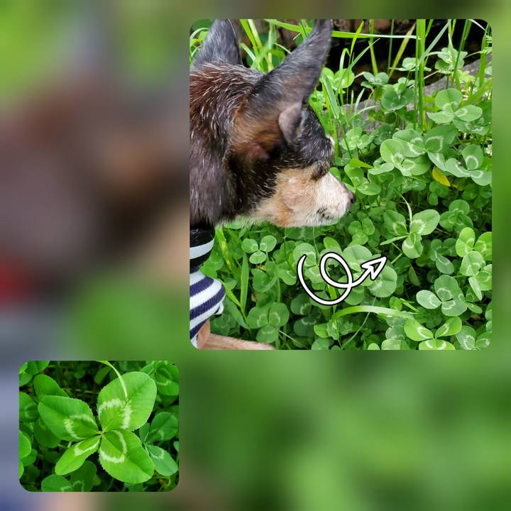 C57047a9 e357 4ac6 9a8e 2ffda1ae2317 1715962393586