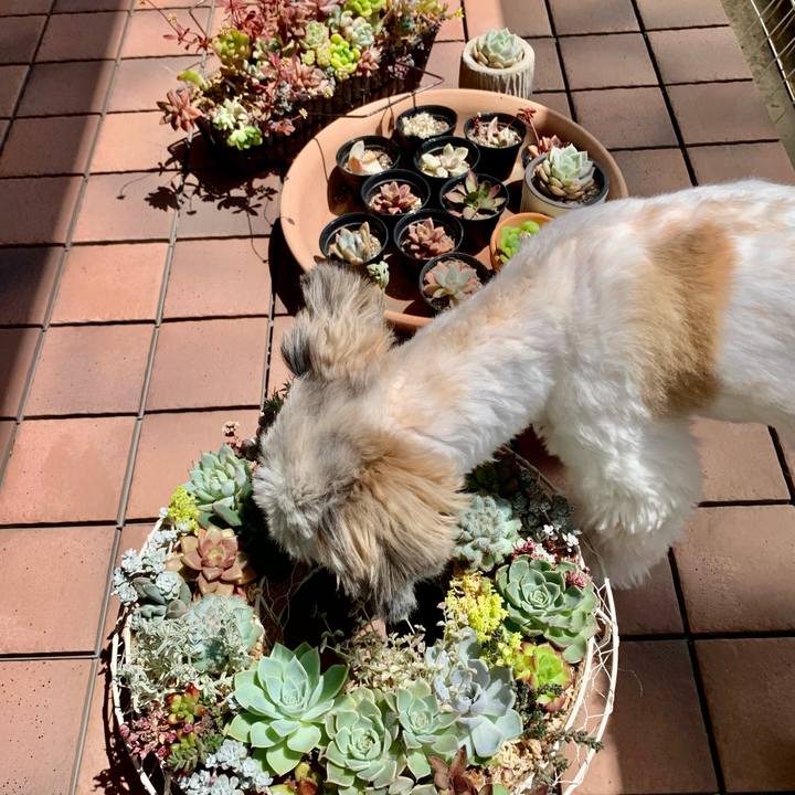 C57089d6 61e5 4d0e 9537 96a4153d21d1 1620093703152