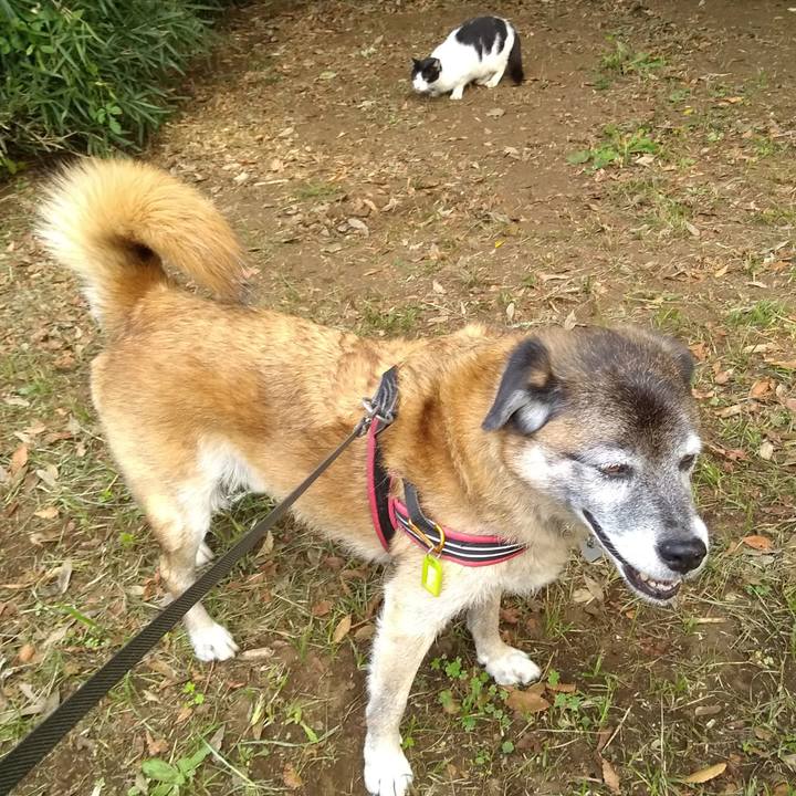 C570bbc6 5325 4ca6 a745 8f8f8a298db4 1569455979204