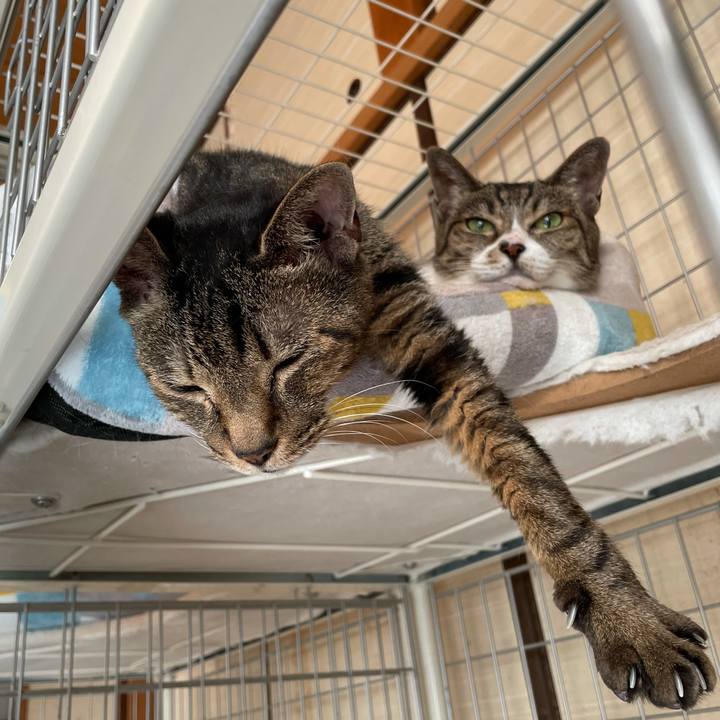 C570cb28 591d 4381 a18b fffb3bb7befd 1628643322469