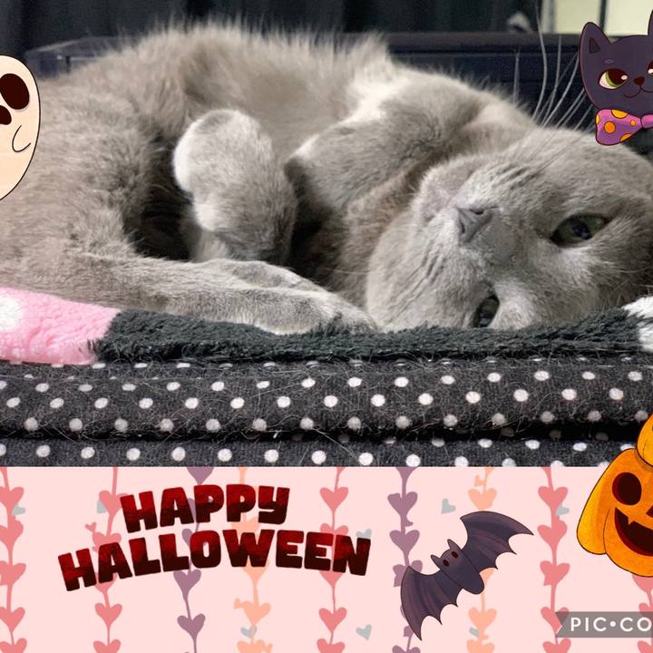 C570e351 401d 4d75 8079 5fa4250396ed 1667201225906