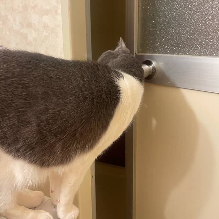 C570ff79 c710 4911 99b2 c9ebdbff4a6e 1744813523469