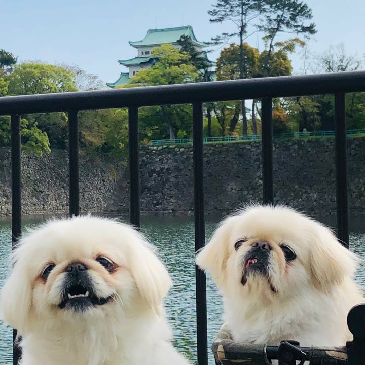 C57121cd f8bd 476f 8ed0 79ee6ee43922 1618108231594