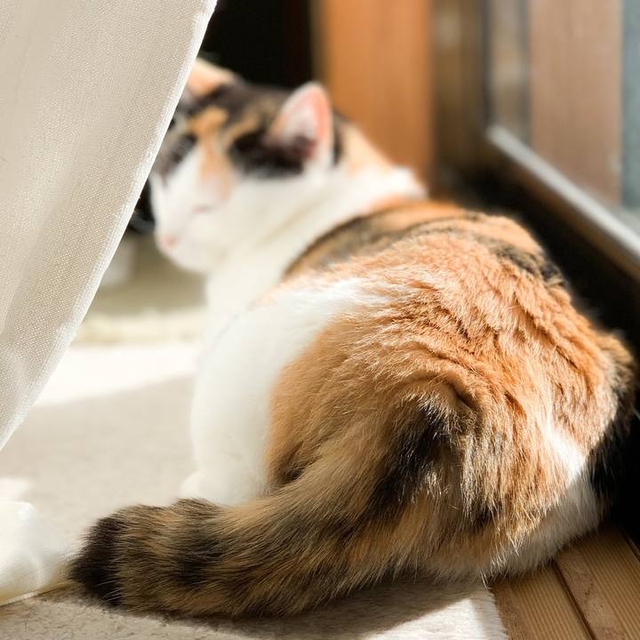 C57129ca 4323 4fb6 81bb ec7643b5db99 1572227971967